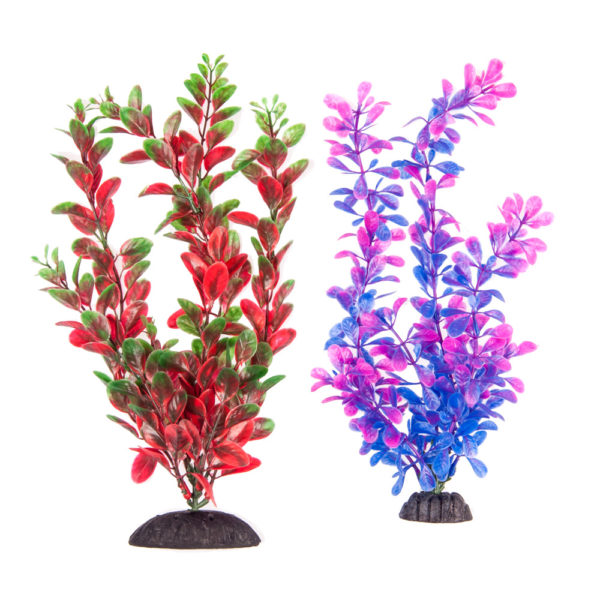2-Pack Multi-colored Purple/Pink & Green/Orange, approx. 10″ Plant Decor