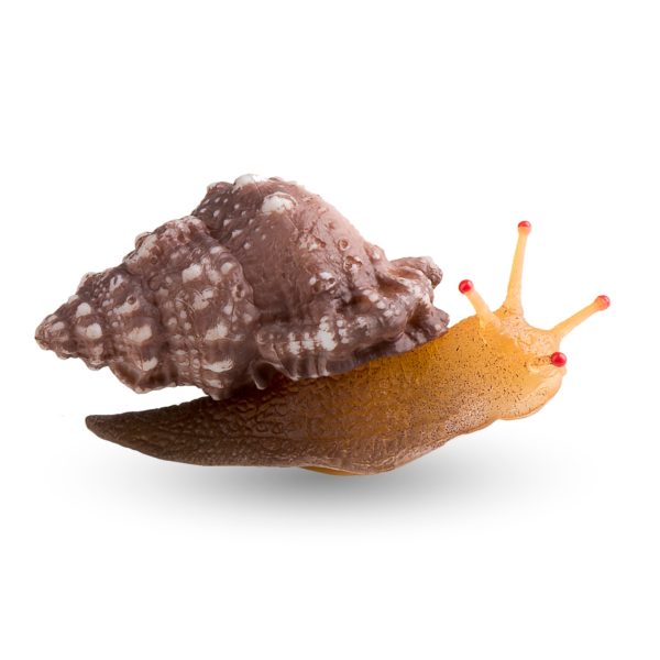 Snail Décor
