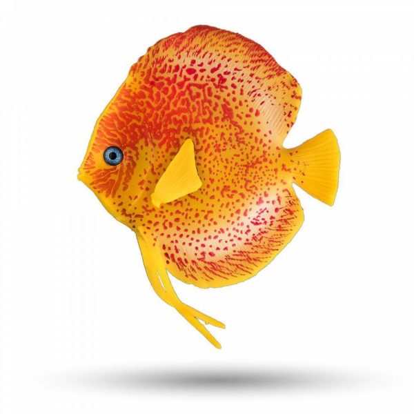 AQUATOP SD-DSCFISH 3.75 Inch Discus Fish Decor